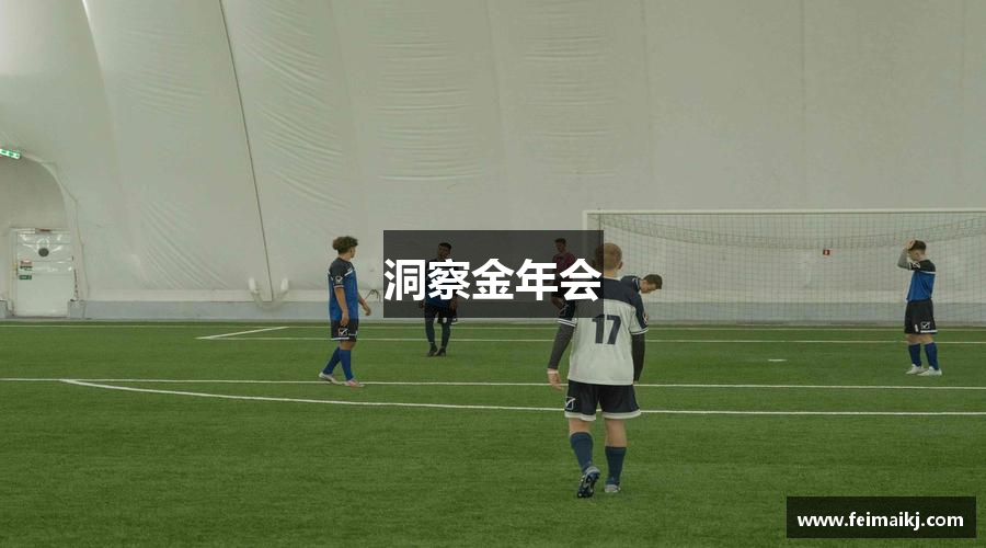 洞察金年会